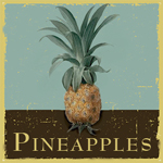 Pineapples Boutique Resortwear